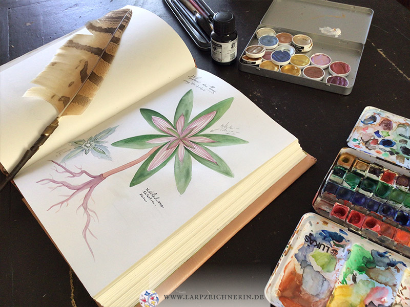 Illustration für ein Magiebuch - Magiebuch und Malutensilien - botanische Illustration